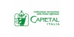 Capietal Italia