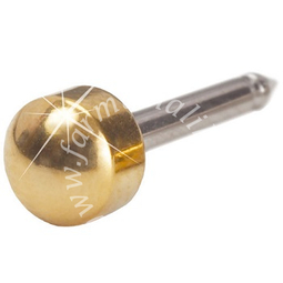 Blomdahl foralobo gt plain 4mm