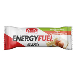 Whysport energy fuel caramello salato 30 g