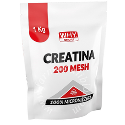 Whysport creatina 200 mesh 1 kg
