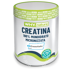 Whysport creatina 100% monoidrato micronizzata 200 g neutro