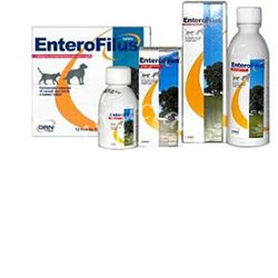 Enterofilus 12 x 10 ml