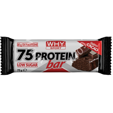 Whysport 75 protein bar cacao 75 g