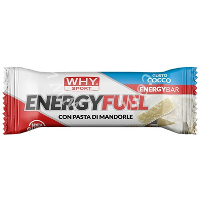 Whysport energy fuel cocco 30 g