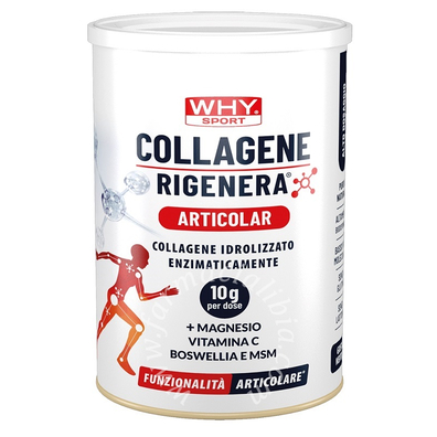 Whysport collagene rigenera articolazioni 336 g